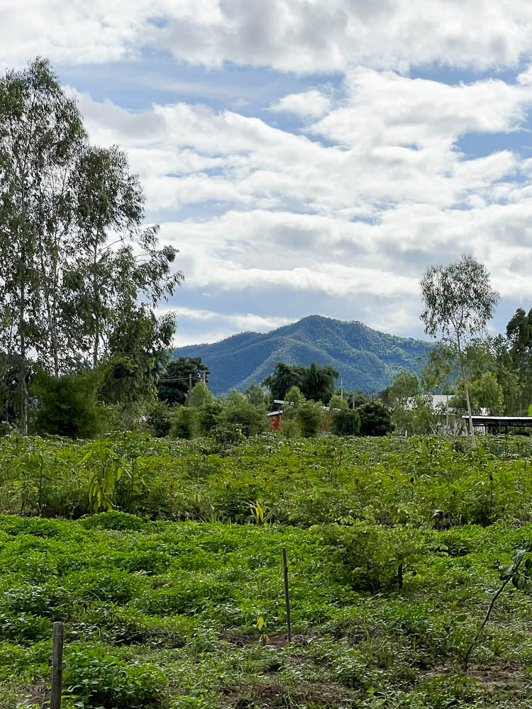 environnement du village des artisan.es