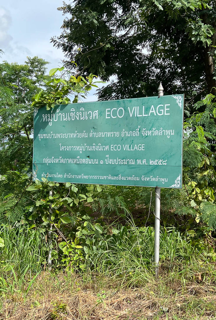 eco village