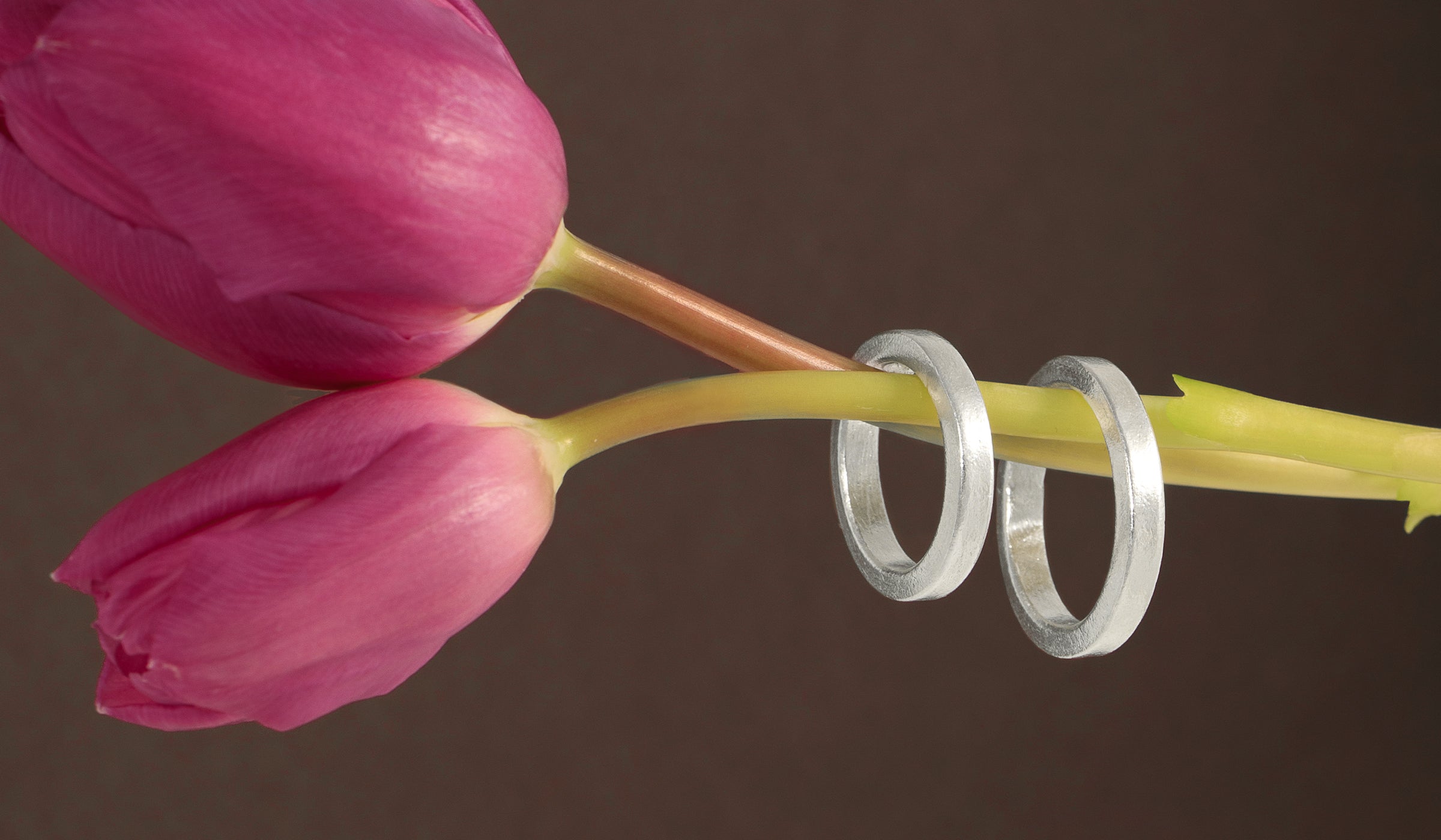 Deux anneaux en argent massif enfilés sur des tiges de tulipes roses – Itsara